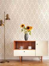 Load image into Gallery viewer, APEX