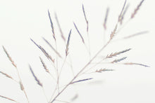 Load image into Gallery viewer, AIRY