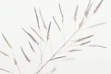 Load image into Gallery viewer, AIRY