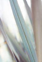 Load image into Gallery viewer, PASTEL LEAVES