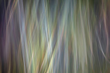 Load image into Gallery viewer, AURORA I