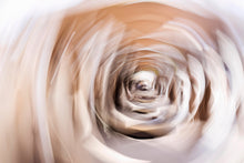 Load image into Gallery viewer, ABSTRACT ROSE