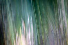 Load image into Gallery viewer, AURORA II