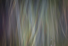 Load image into Gallery viewer, AURORA IV