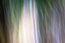 Load image into Gallery viewer, AURORA V