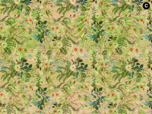 Load image into Gallery viewer, ANFIBIUS