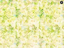 Load image into Gallery viewer, ANFIBIUS