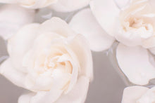 Load image into Gallery viewer, SHALLOW