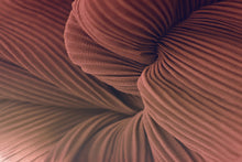 Load image into Gallery viewer, SWIRL