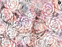 Load image into Gallery viewer, SUCULENTAS